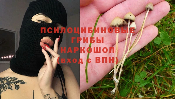 твердый Каменногорск