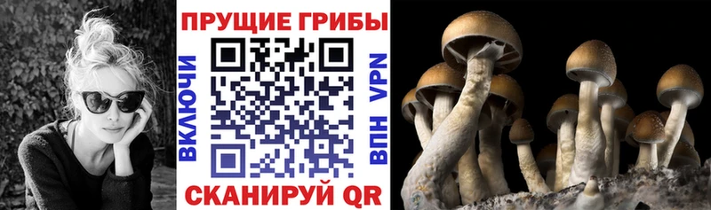 Галлюциногенные грибы прущие грибы как найти закладки Сольцы